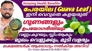 പേരയില ( Guava Leaf ) ഗുണങ്ങളും ഉപയോഗരീതിയും | മുഖം വെളുക്കും, മുടിവളരും; വണ്ണം കുറയും | Dr Visakh