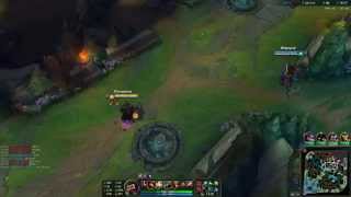 Fun Graves Bug