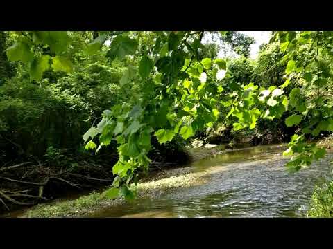 2650 Reynoldsburg - New Albany Road, Blacklick, OH home video tour