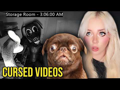 PUPPY WATCHES SCARY CURESD VIDEOS AT 3AM...