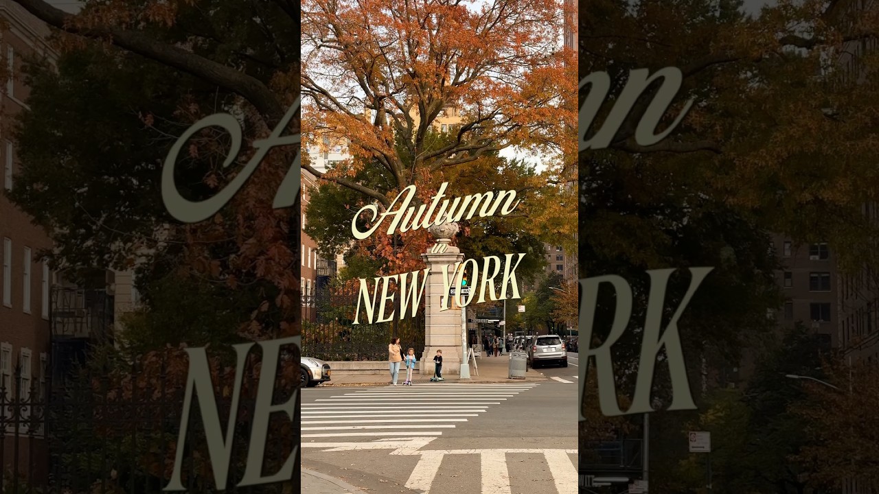 is this ACTUALLY what NYC looks like in the fall?? 👀🍂