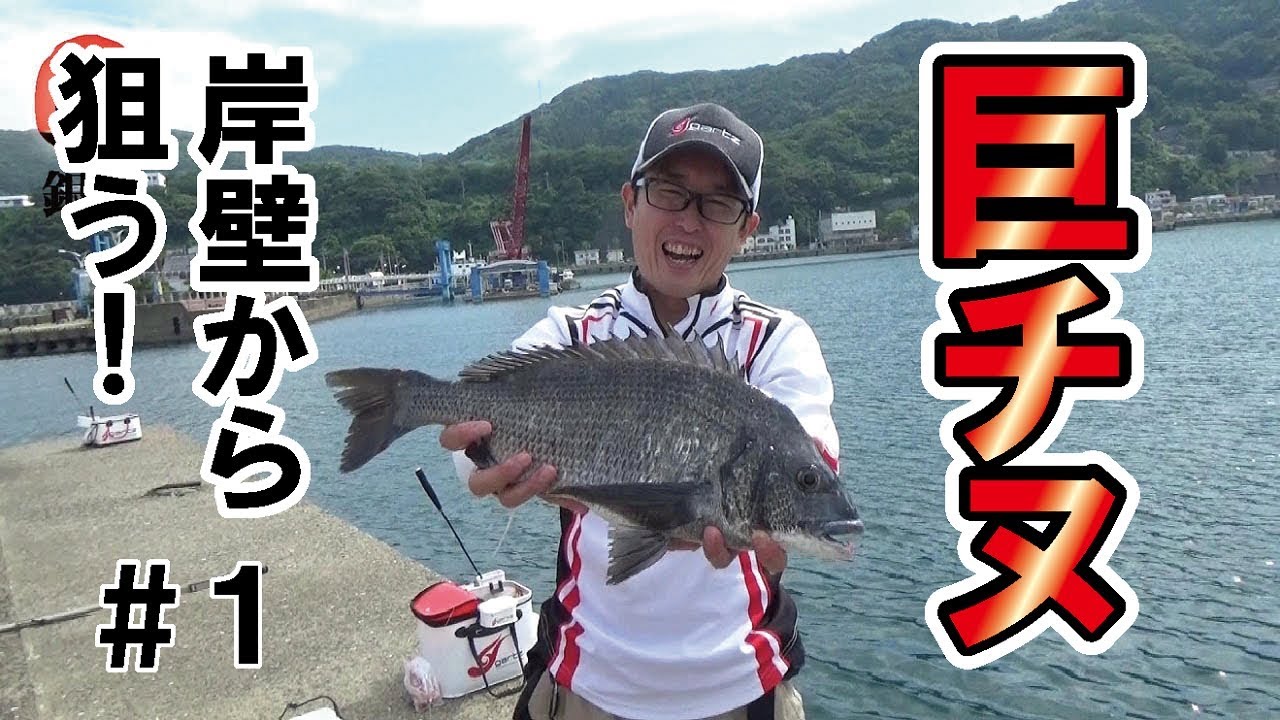 巨チヌ岸壁から狙う １ Youtube