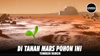 TANAMAN INI TUMBUH SUBUR DI TANAH MARS