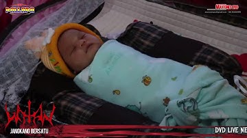 New Pallapa 2017 Brodien Anak Pertama