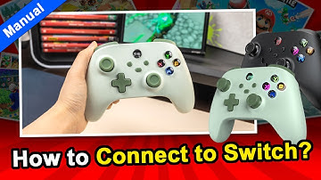 How to Connect to Switch for IINE PC Controller?😝