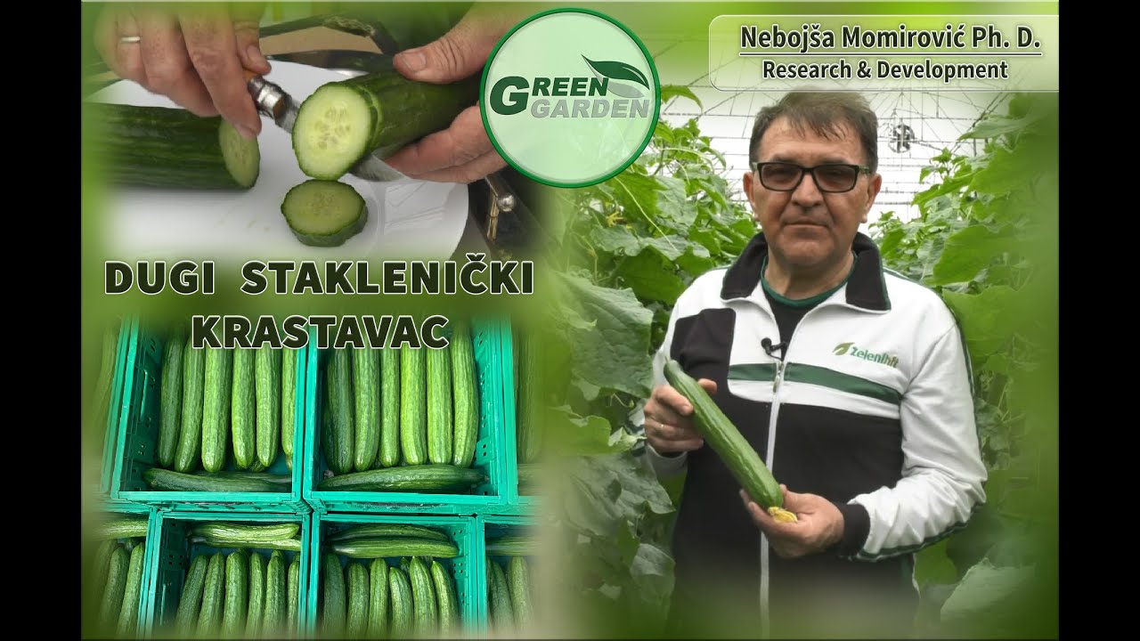 🟢 Green Garden - Dugi staklenički krastavac (E028)