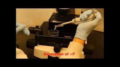 Single-cell isolation by a modular single-cell pipette for RNA-sequencing
