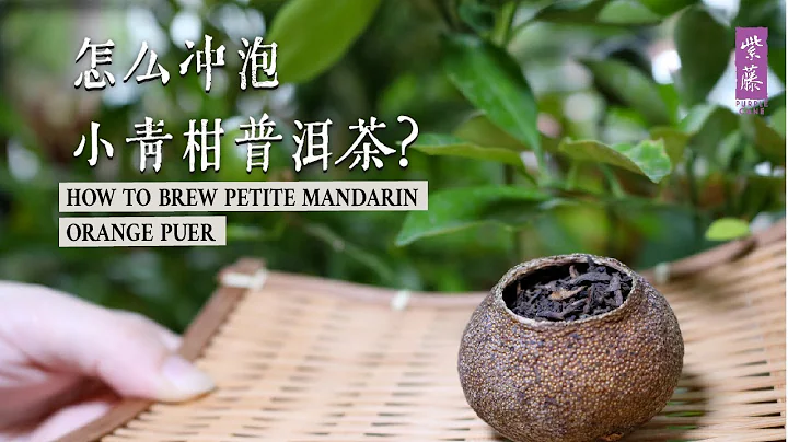 怎么冲泡小青柑普洱茶？How To Brew Petite Mandarin Orange Puer？ - 天天要闻