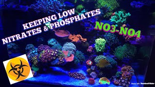 KEEPING LOW NITRATES & PHOSPHATES