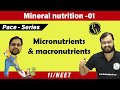 Mineral Nutrition - 01 | Micronutrients and Macronutrients | Class 11 | Pace Series