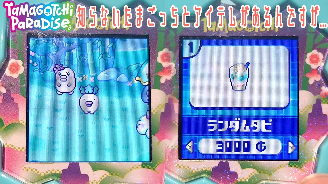 【たまごっち パラダイス】ジェイドフォレストに知らないたまごっちと見知らぬアイテムがあるんですが...【Tamagotchi Paradise】