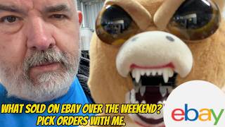 Picking eBay Sales and Finding Treasure  A Reseller Life  What Sold On The Weekend