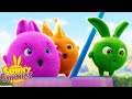 SUNNY BUNNIES - Baby Bunnies | Season 7 | Cartoons for Children