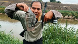 Hunting fish after heavy rain
