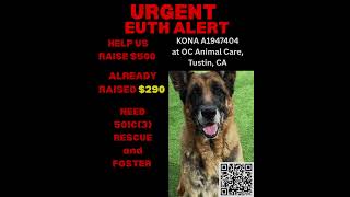 Coastal GSR pulled Kona 🎉❤️🚨 Kona #A1947404 - EUTH ALERT!❤️ SENIOR