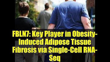 FBLN7: Key Player in Obesity-Induced Adipose Tissue Fibrosis via Single-Cell RNA-Seq