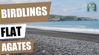 Rockhounding At Birdlings Flat Agate Hunt And Cut