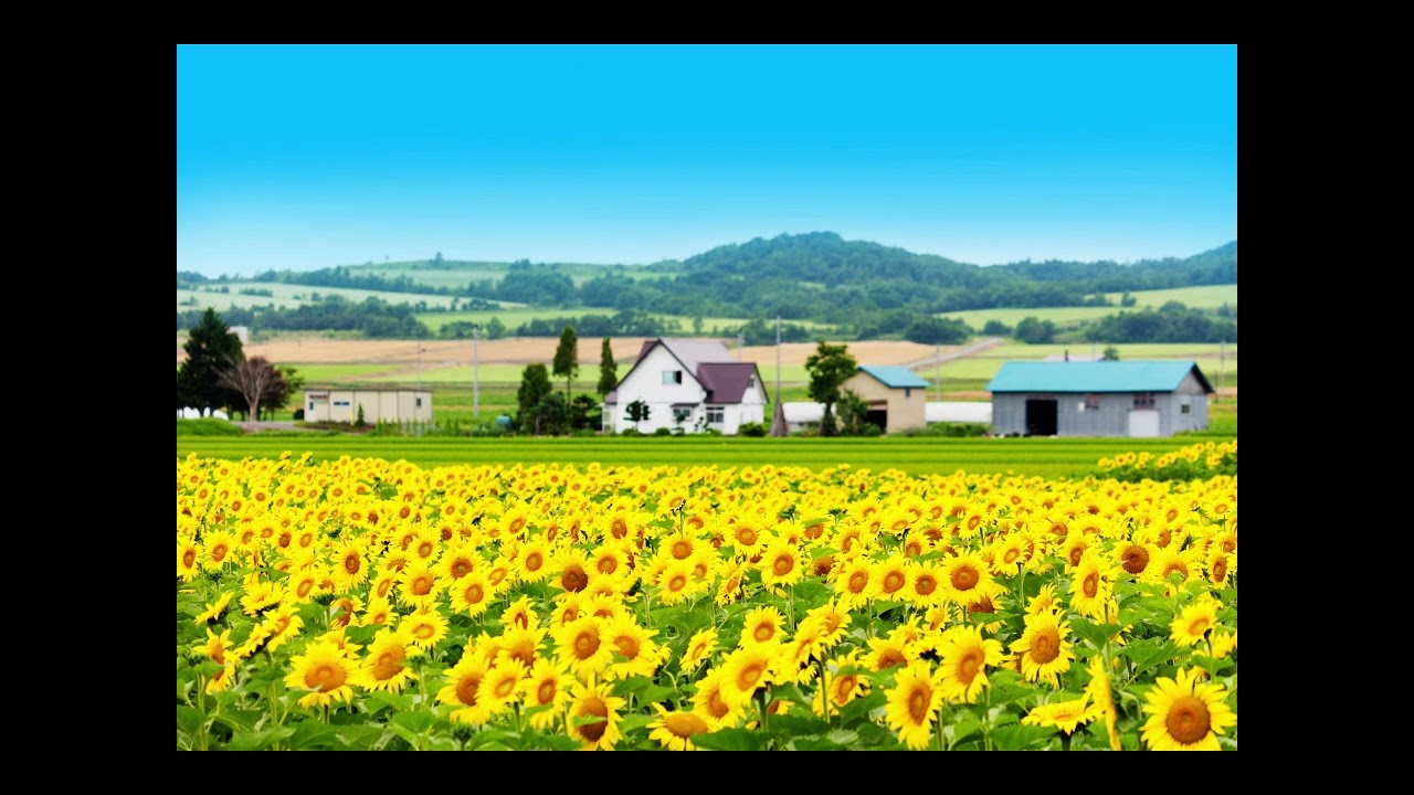 崖の上のポニョから、ひまわりの家の輪舞曲 フルート