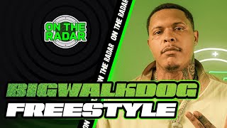 The BigWalkDog "On The Radar" Freestyle (PART 2)