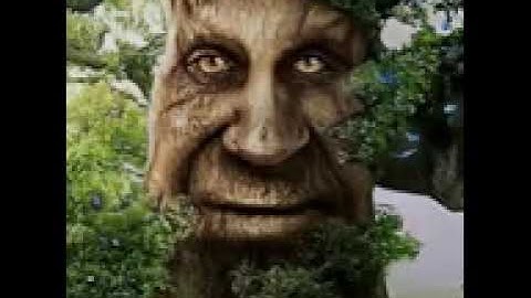 1 hour of Wise Mystical Tree