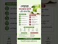 পেয়ারা খাওয়ার আগে এটা জেনে নিন | Guava Health Tips