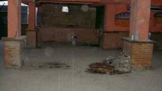 Attica Madrid - 1987-1995 - Gracias