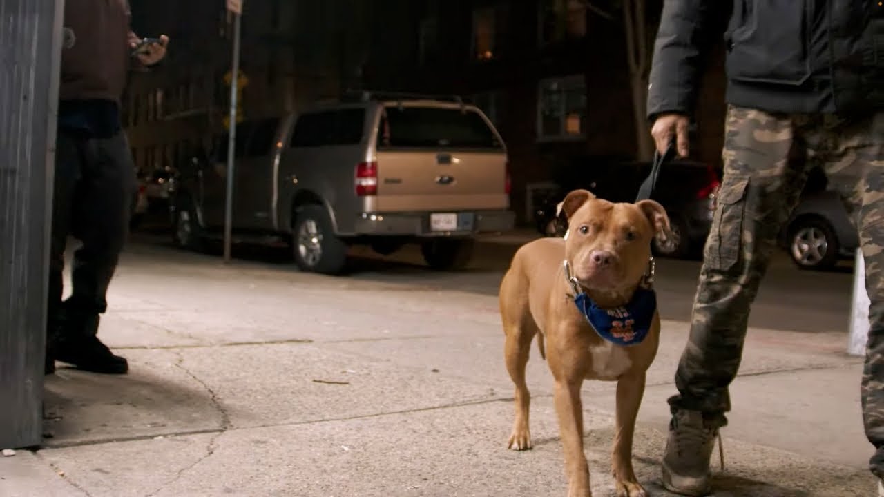 Yozi - No BS (Official Music Video) [Dir. By @unquevisuals21]