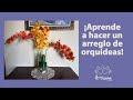 ¡Aprende a hacer un arreglo de orquídeas!