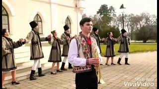 Sebastian Daniel Onofrei - Bătută la trompetă