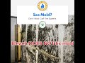 Mold Remediation - Call The Experts - Northern Kentucky