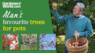 Five trees for pots | Alan's trees for small gardens