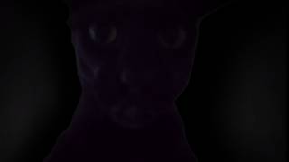 Quantum Processing Progress #1
