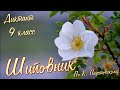 Диктант по русскому языку с проверкой! 9 класс. Шиповник #диктант9класс #диктант