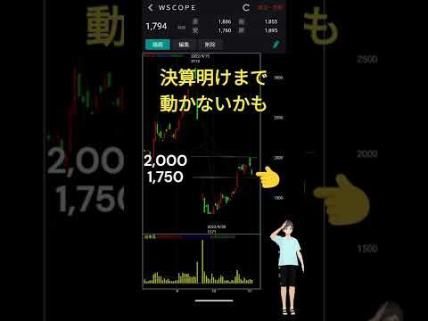 11/2 6619ダブルスコープWSCOPE・決算明けまで動かなさそう【テクニカル・れふてぃーひでぃーのチャートチェック】#日本株
