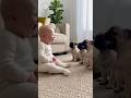 赤ちゃんとわんこ🐶Dog and bad baby🤣#japan #cute #ai #baby #kawaii #かわいい　#犬#dog #残念そうな顔 #funny #dance #pets