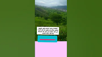 معنى الشفاعة في قضاء الحاجات عطور اقنباسات ابداع 
