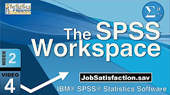 Introduction to SPSS Statistics - Playlist 