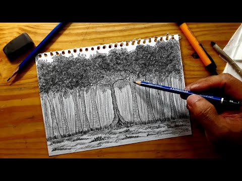 Video: Cara Melukis Hutan Dengan Pensil