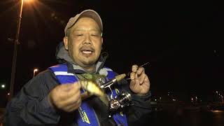 #247 浪速の人気者が誘うライトルアーゲーム～自由気まま…大阪湾で軽やかに遊ぶ～