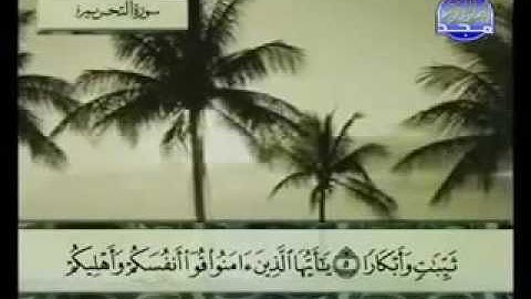 سورة التحريم |الشيخ عبد الباسط عبد الصمد AtTahrim |  Abd al-Basit Abd al-Samad