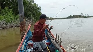 Belum lempar pancing ketiga,,joran sudah di hajar babon ajahan #mancing