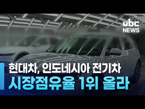   현대차 인도네시아 전기차 시장점유율 1위 올라