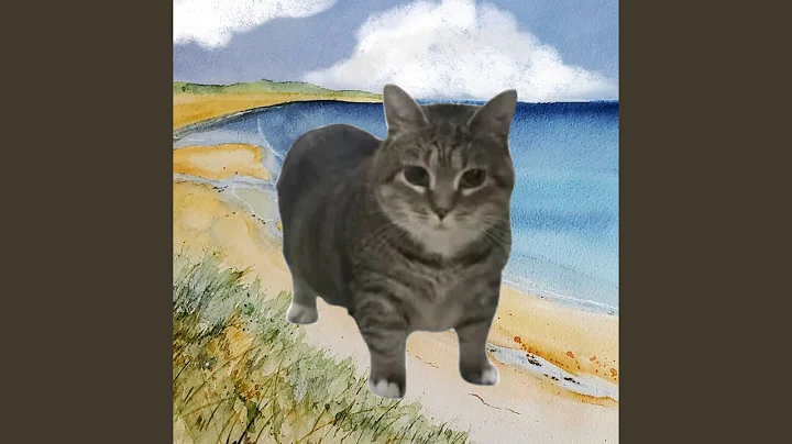 blue - yung kai (oiia spinning cat Version)