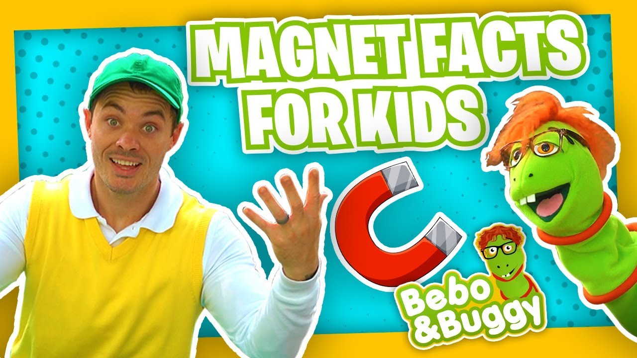 About Magnets For Kids with and Buggy - YouTube