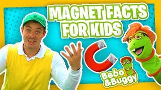 Facts About Magnets For Kids with Bebo and Buggy
