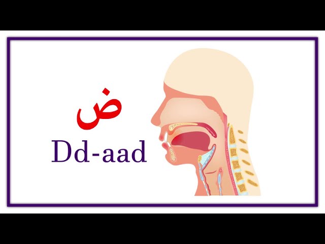 Arabic Alphabet Pronunciation class=