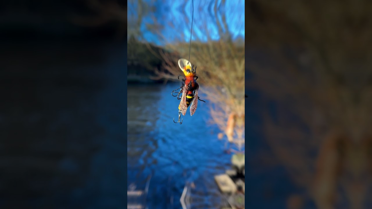 Best Spring Lure for Steelhead Fishing? Try This One!