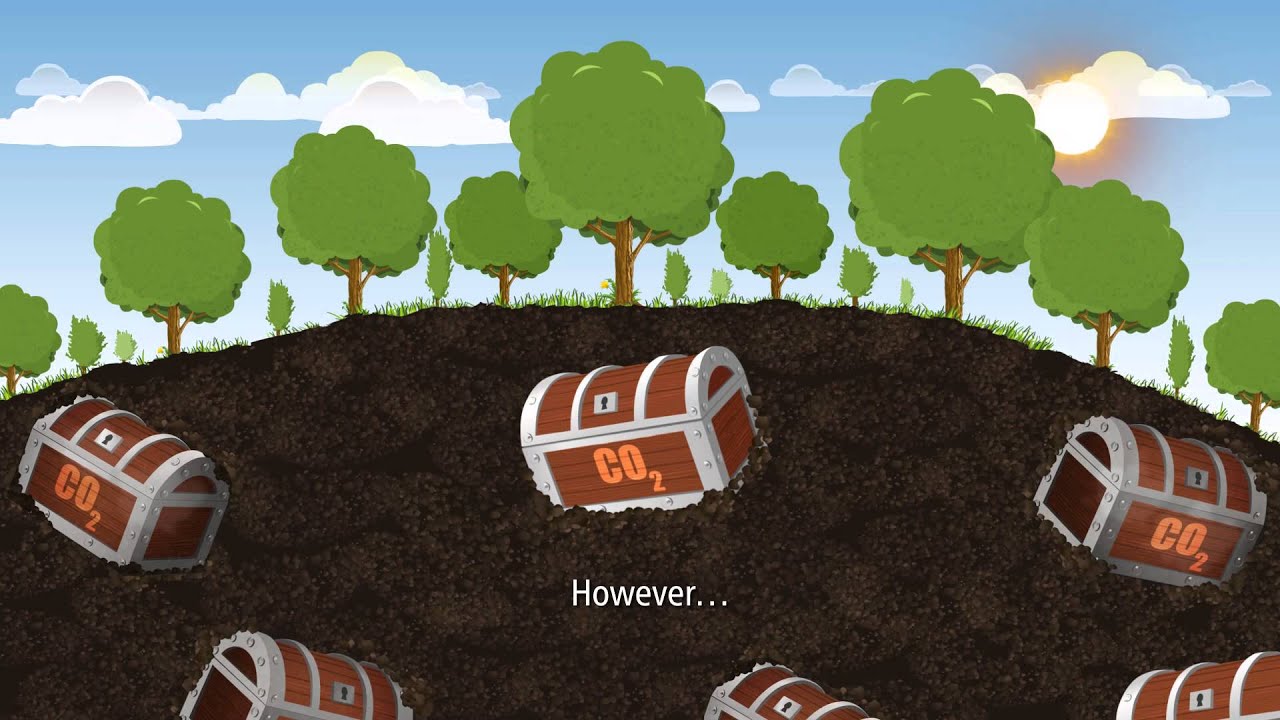 How Can The Climate Affect The Soil Fertility In A Cold Environment?