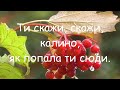 При долині кущ калини мінус зі словами При долині кущ калини мінус зі словами