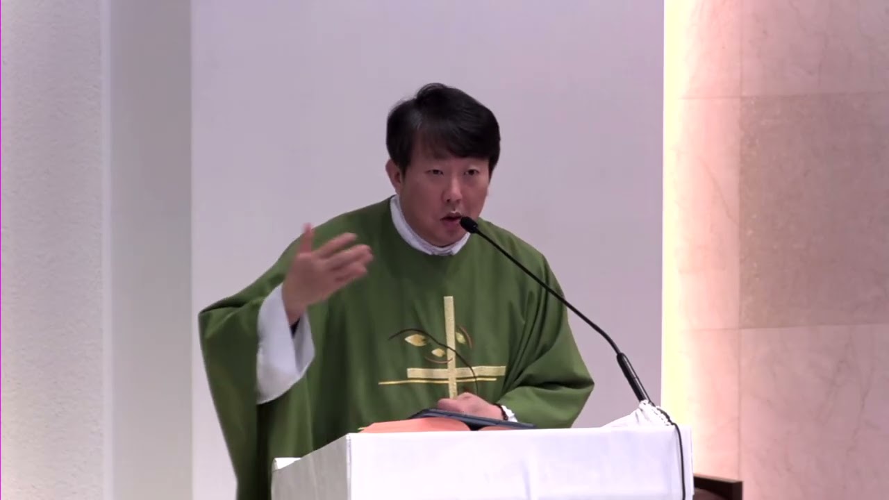 [교중미사 강론] 우리는 예수님과의 만남이 절대적으로 필요한 사람들입니다. 연중 제2주일. 26.01.18./ 김재덕 베드로 신부